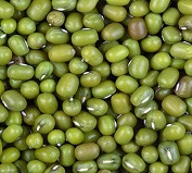 export