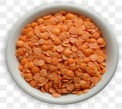 export